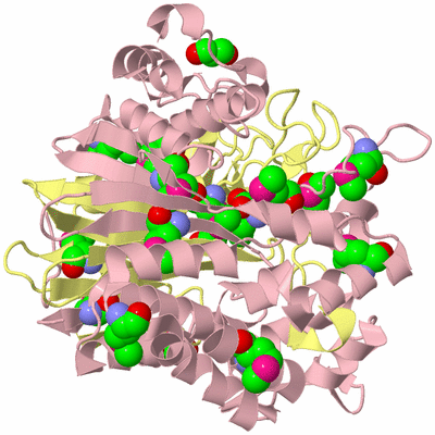 Image Biological Unit 2