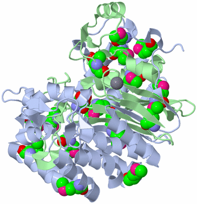 Image Biological Unit 1