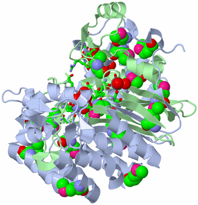 Image Biol. Unit 1 - sites