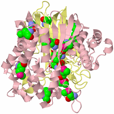 Image Biological Unit 2