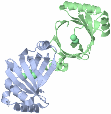 Image Asym./Biol. Unit