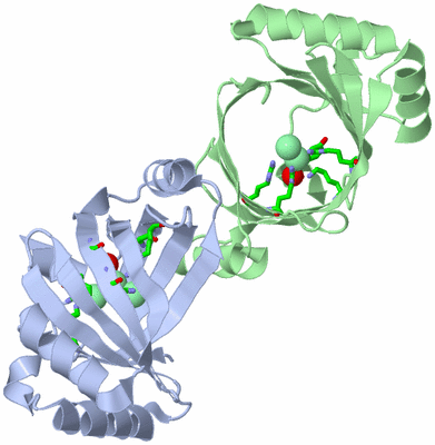 Image Asym./Biol. Unit - sites