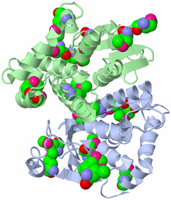 Image Asym./Biol. Unit