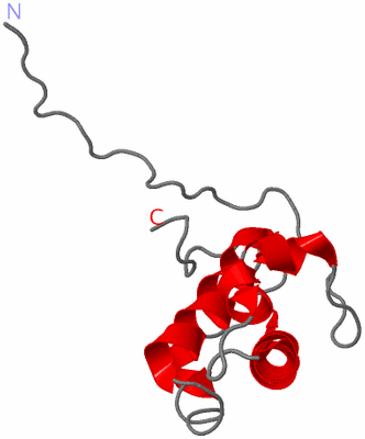 Image NMR Structure - model 1