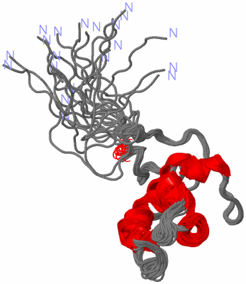 Image NMR Structure - all models