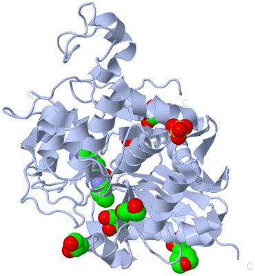 Image Biological Unit 1