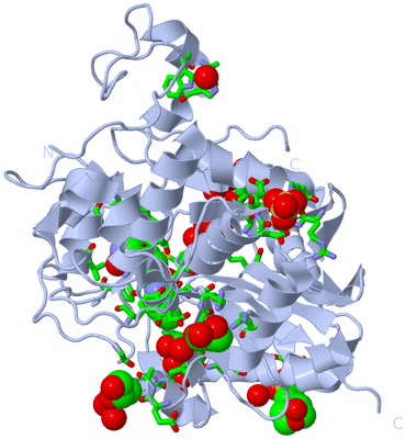 Image Biol. Unit 1 - sites