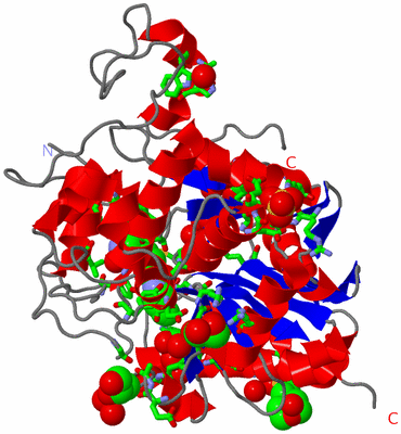 Image Asym. Unit - sites