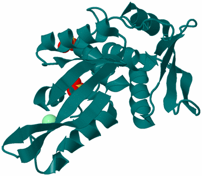 Image Biological Unit 1