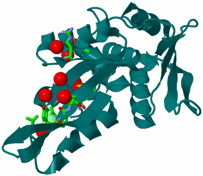 Image Biol. Unit 1 - sites