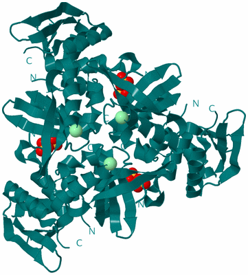 Image Biological Unit 2