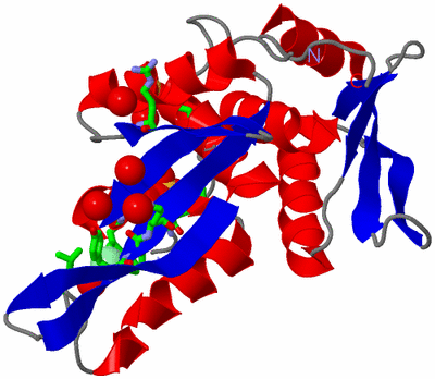 Image Asym. Unit - sites