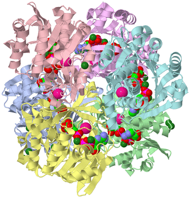 Image Biological Unit 1