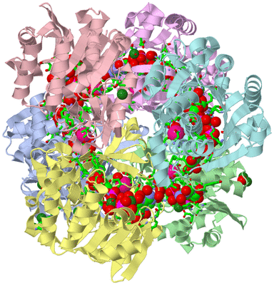 Image Biol. Unit 1 - sites