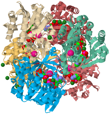 Image Biological Unit 2