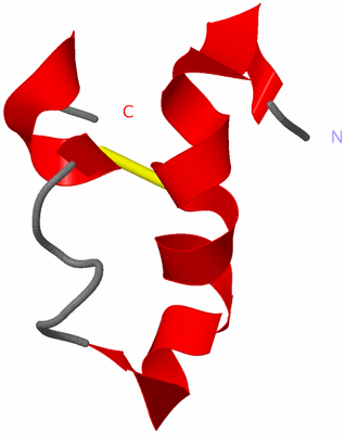 Image NMR Structure - model 1