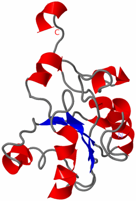 Image NMR Structure - model 1