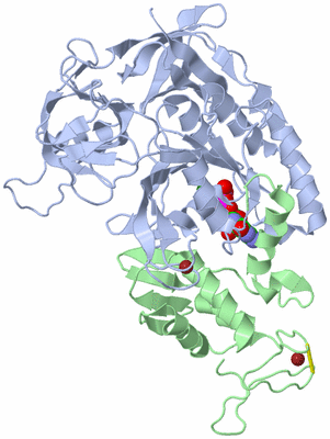 Image Asym./Biol. Unit