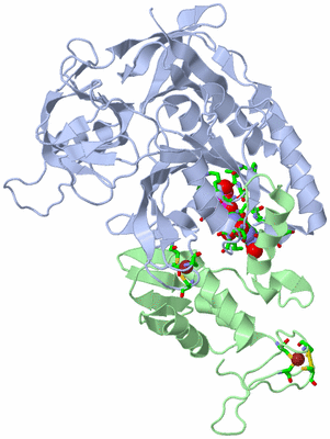 Image Asym./Biol. Unit - sites