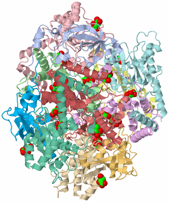 Image Asym./Biol. Unit