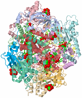 Image Asym./Biol. Unit - sites