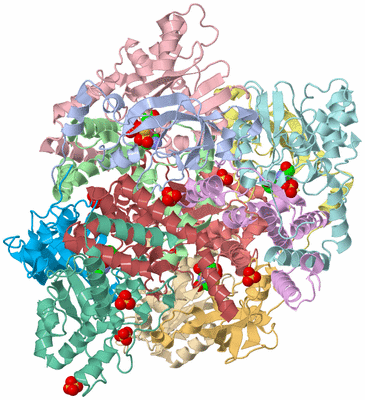 Image Asym./Biol. Unit