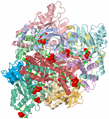 Image Asym./Biol. Unit - sites