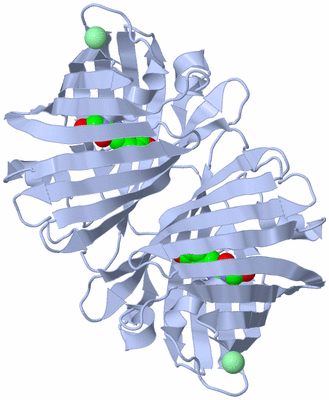 Image Biological Unit 1