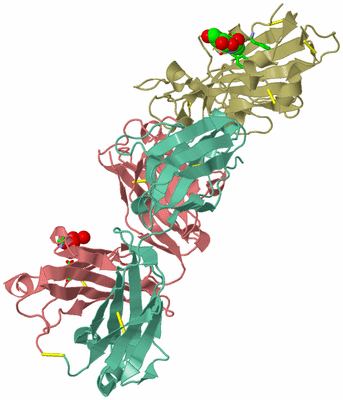 Image Biol. Unit 1 - sites