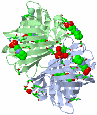 Image Biol. Unit 1 - sites