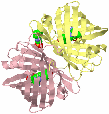 Image Biological Unit 2