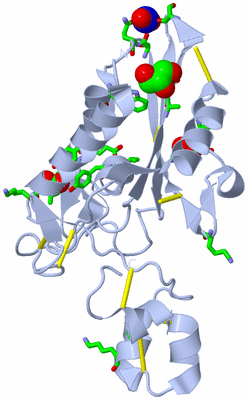 Image Biol. Unit 1 - sites