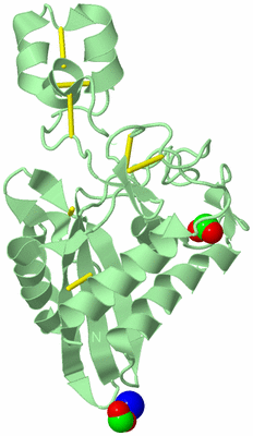 Image Biological Unit 2