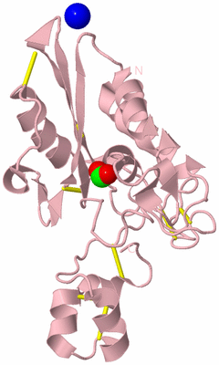 Image Biological Unit 3