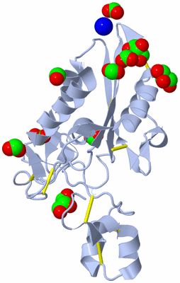 Image Biological Unit 1