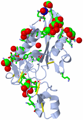 Image Biol. Unit 1 - sites