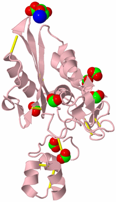 Image Biological Unit 3