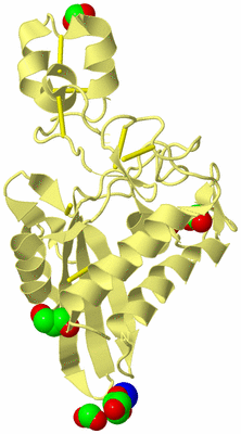 Image Biological Unit 4