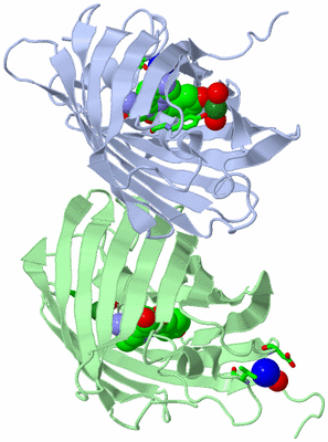 Image Asym./Biol. Unit - sites