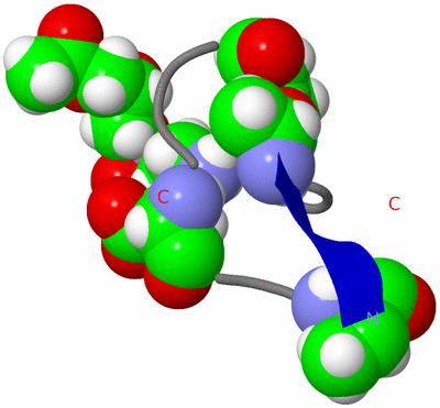 Image NMR Structure - model 1