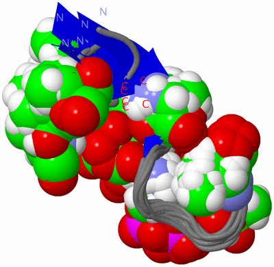 Image NMR Structure - all models