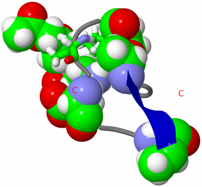 Image NMR Structure - model 1, sites