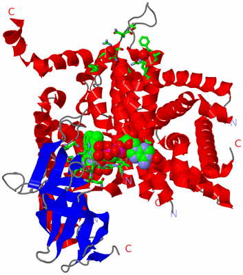 Image Asym. Unit - sites