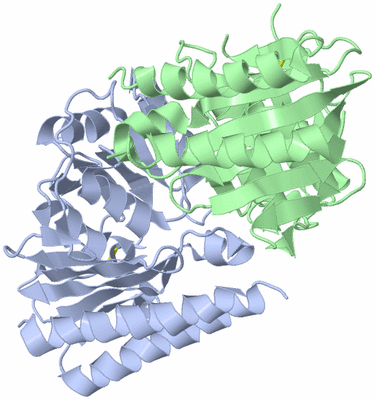 Image Asym./Biol. Unit