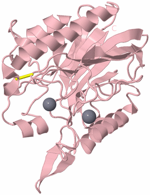 Image Biological Unit 3