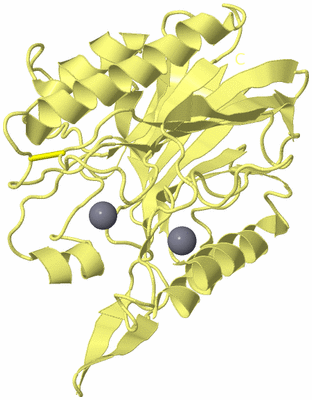 Image Biological Unit 4