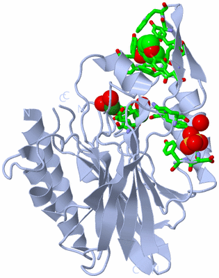 Image Biol. Unit 1 - sites