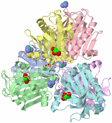 Image Asym./Biol. Unit