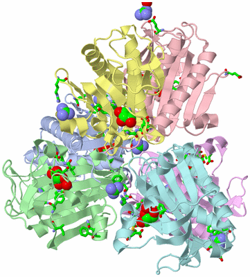 Image Asym./Biol. Unit - sites