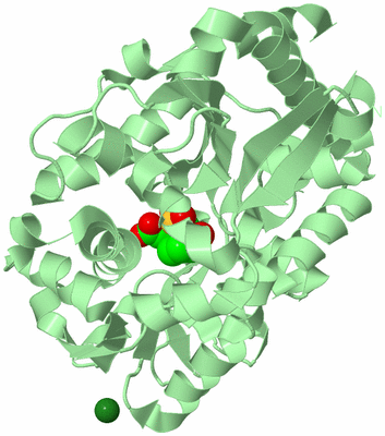 Image Biological Unit 2